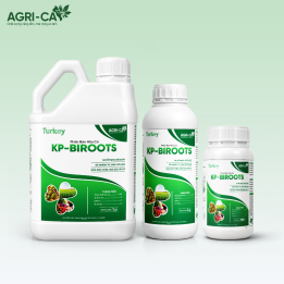 KP-BIROOTS - Nhập khẩu Thổ Nhĩ Kì