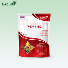 Phân bón 7-5-44+TE - NPK Vi Lượng Cao Cấp Hà Lan