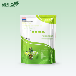 33-11-11+TE – Giải Pháp Kéo Đọt Siêu Tốc, Bung Tược Khỏe Từ Hà Lan