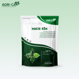 Magie Kẽm - Xanh Dày Lá, Chống Vàng Lá