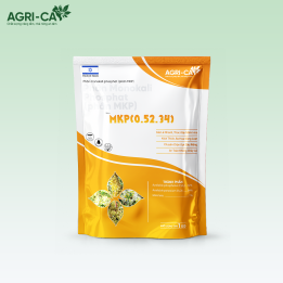 MKP (0-52-34) - Tạo Mầm Hoa & Chặn Đọt Nhập Khẩu Israel