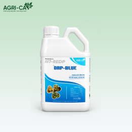 DAP-BLUE – Phân Bón Lân Vi Lượng Cao Cấp Chuyên Bo, Siêu Đậu Trái