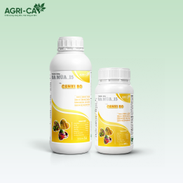 CANXIBO - Chống Rụng Hoa, Nứt Trái, Vào Gạo Nhanh